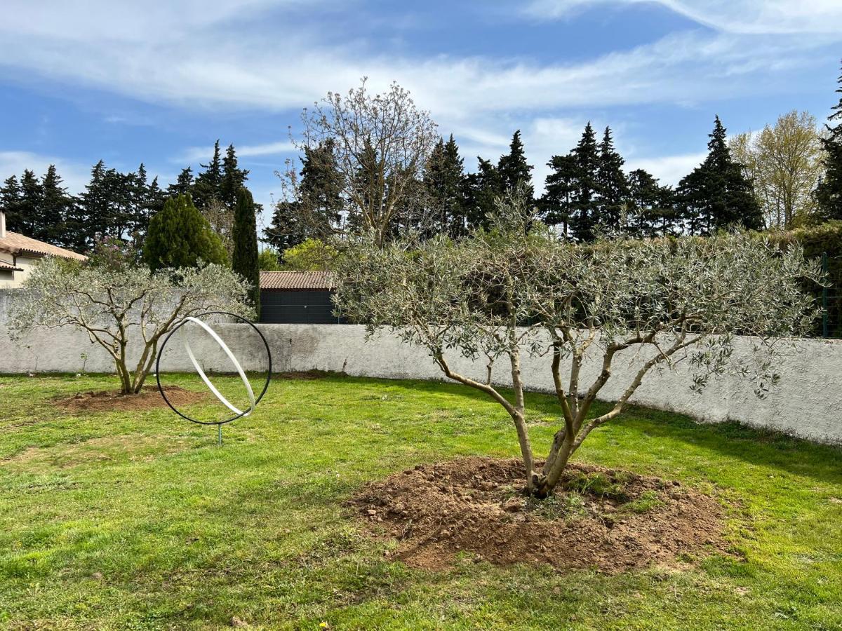 Au Petit Bonheur * L'Isle-sur-la-Sorgue